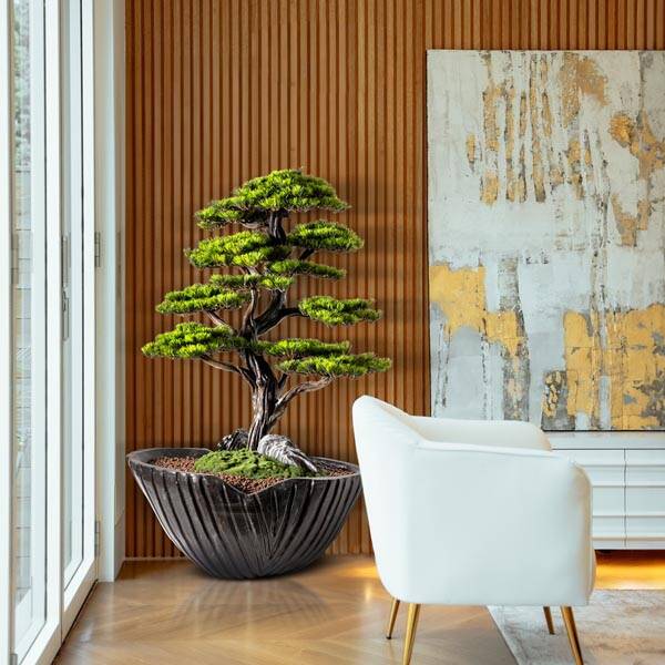 Algenib Thuja-5 - 4