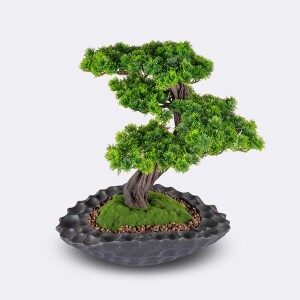 Atlas Thuja Saksılı Çiçek - TepeHome (1)