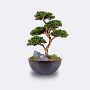 Saksılı Avior Bonsai 2 70x110 cm - 1