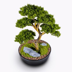 Saksılı Avior Bonsai 2 70x110 cm - TepeHome (1)