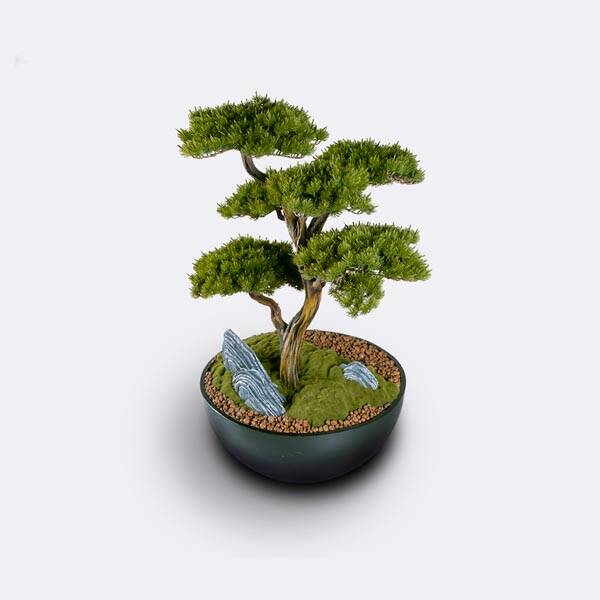 Saksılı Avior Bonsai 2 70x110 cm - 3