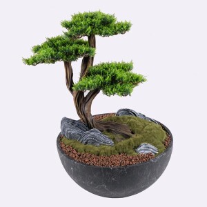 Avior Bonsai-6 Saksılı Çiçek - TepeHome (1)