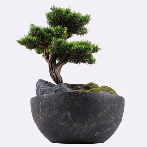 Avior Bonsai-6 Saksılı Çiçek - 3