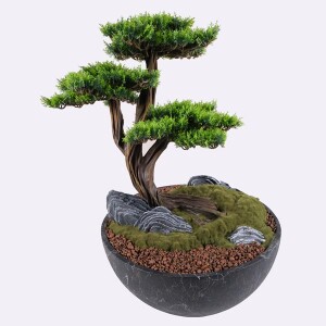 Avior Bonsai-6 Saksılı Çiçek - 4