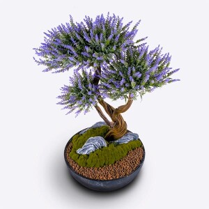 Saksılı Avior Lavender 80x125 cm - 3