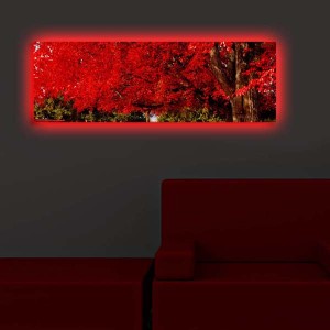 Aydınlatmalı Tablo 3090DACT-35 - TepeHome
