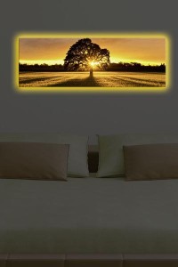 Aydınlatmalı Tablo 3090DACT-68 - TepeHome