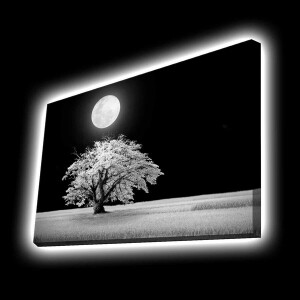 Aydınlatmalı Tablo - TepeHome (1)