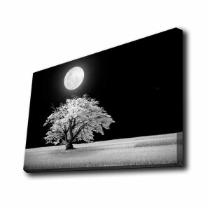 Aydınlatmalı Tablo - TepeHome