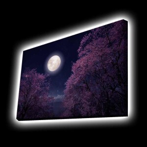 Aydınlatmalı Tablo - TepeHome