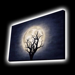 Aydınlatmalı Tablo - TepeHome (1)