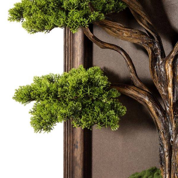 Bonsai Tablaeu - 3