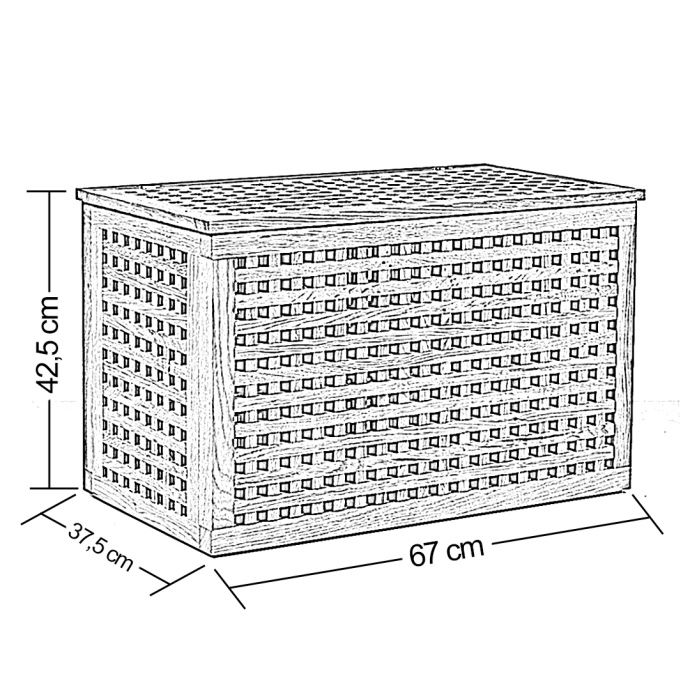 Cage Basket - 6