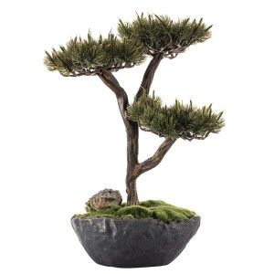 Saksılı Calipso Bonsai 10 30x40 cm - TepeHome