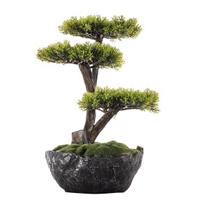 Saksılı Calipso Bonsai 3 30x30 cm - TepeHome