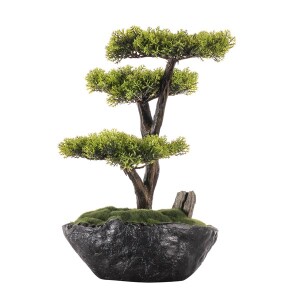 Saksılı Calipso Bonsai 3 30x30 cm - TepeHome (1)