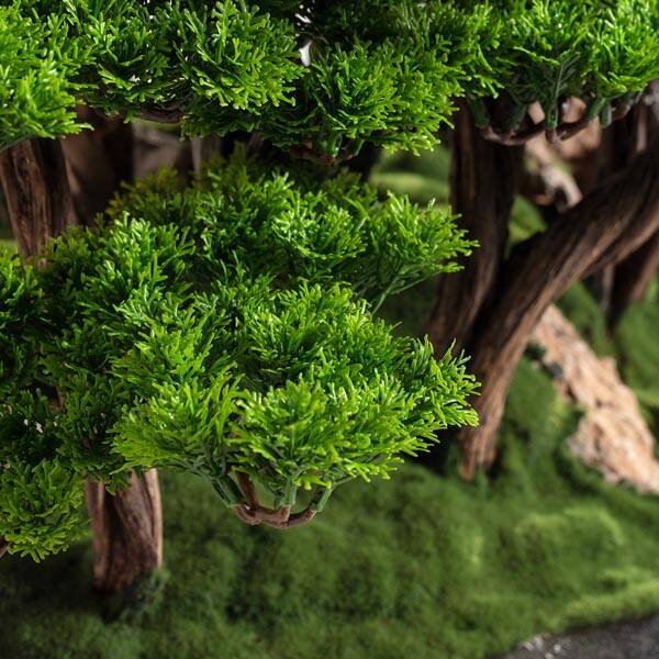 Callisto Bonsai Garden Saksılı Çiçek - 5