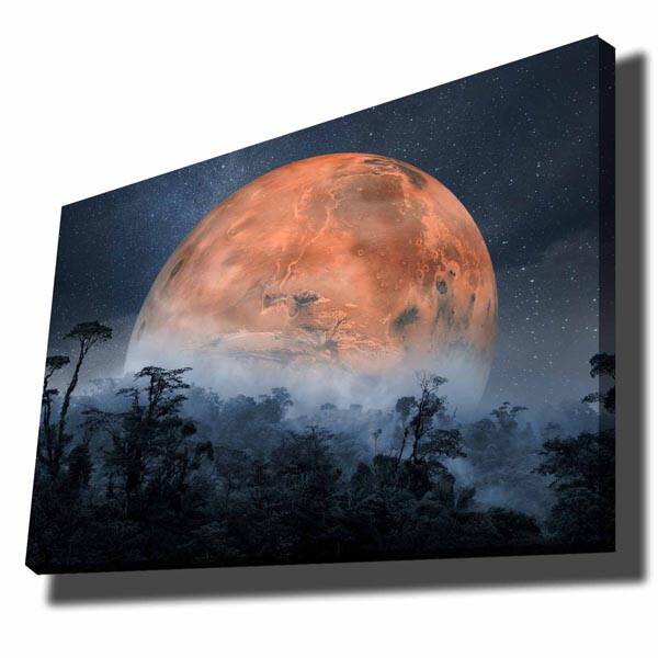 Canvas Tablo - 1