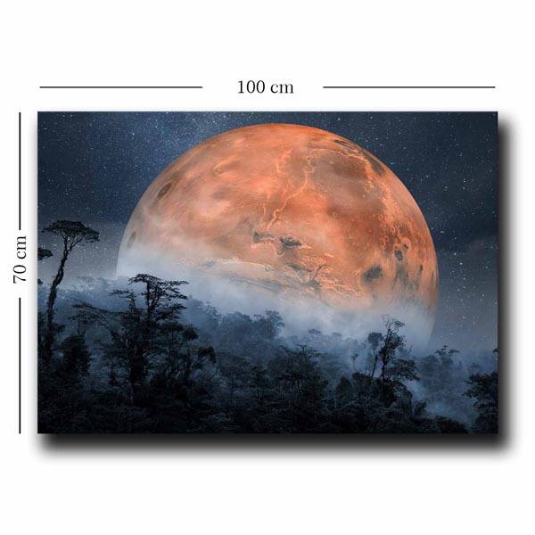 Canvas Tablo - 3
