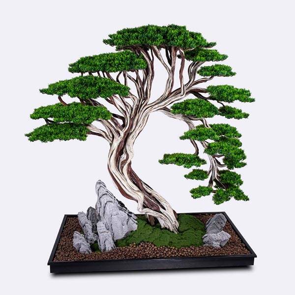 Deadwood Bonsai Tree - 1
