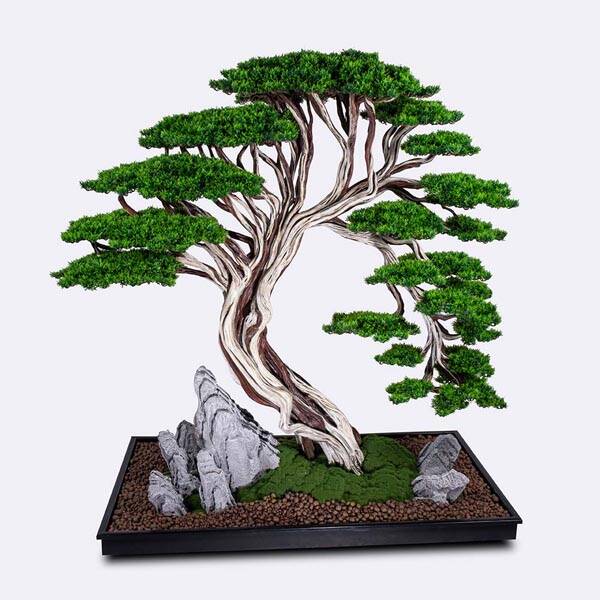 Deadwood Bonsai Tree Saksılı Çiçek - 1