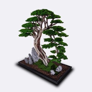 Deadwood Bonsai Tree - 6