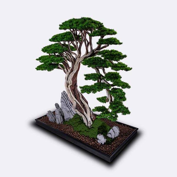 Deadwood Bonsai Tree Saksılı Çiçek - 6