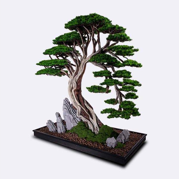 Deadwood Bonsai Tree - 7