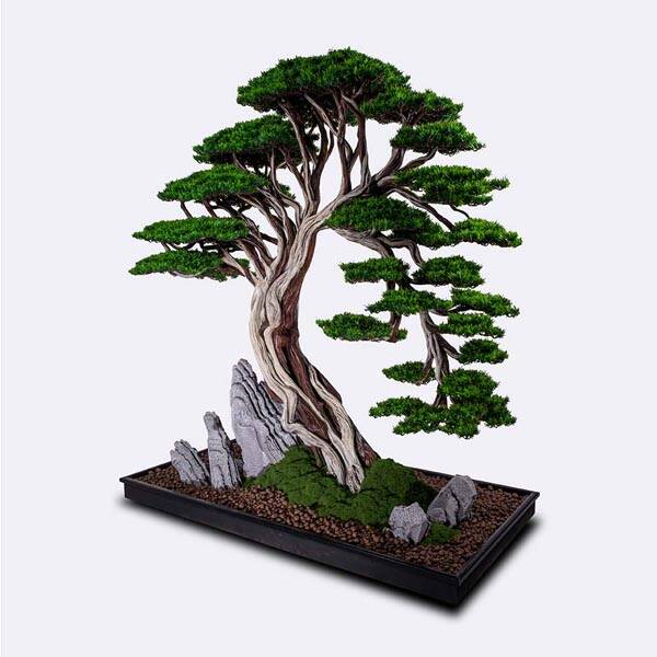 Deadwood Bonsai Tree Saksılı Çiçek - 7