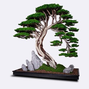 Deadwood Bonsai Tree Saksılı Çiçek - 8