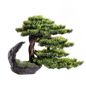 Deimos Bonsai Saksılı Çiçek - TepeHome