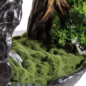 Deimos Bonsai - TepeHome (1)