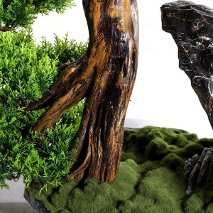 Deimos Bonsai Saksılı Çiçek - 3