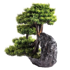 Deimos Bonsai Saksılı Çiçek - 4