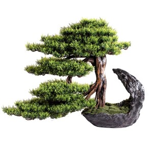 Deimos Bonsai Saksılı Çiçek - 5