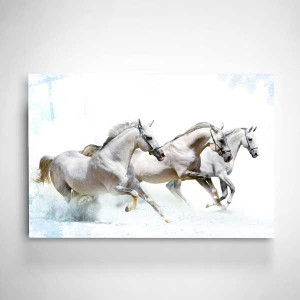 Digi-Glass Beyaz Atlar Cam Tablo - 1