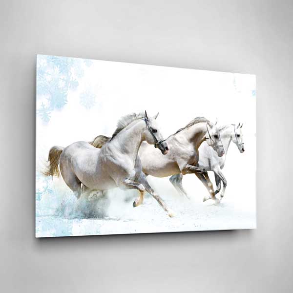 Digi-Glass Beyaz Atlar Cam Tablo - 3