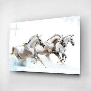 Digi-Glass Beyaz Atlar Cam Tablo - 4