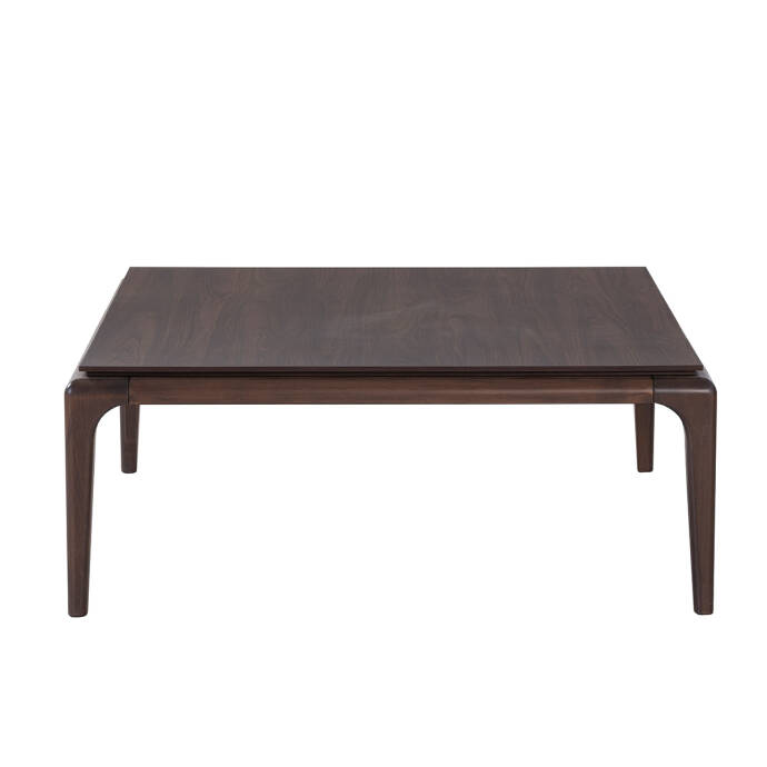 Elegant Kare Orta Sehpa - 2