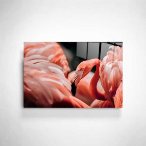 Flamingo Cam Tablo - TepeHome