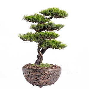 Galatea Thuja-11 Saksılı Çiçek - TepeHome