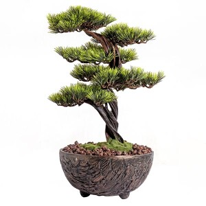 Galatea Thuja-11 Saksılı Çiçek - 2