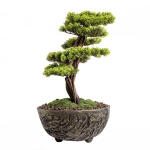 Galatea Thuja-14 Saksılı Çiçek - TepeHome