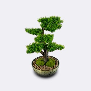 Galatea Thuja-2 Saksılı Çiçek - TepeHome