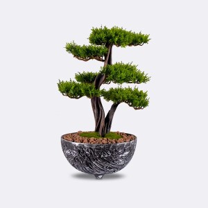 Galatea Thuja-8 Saksılı Çiçek - TepeHome