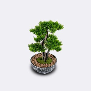 Galatea Thuja-8 Saksılı Çiçek - TepeHome (1)