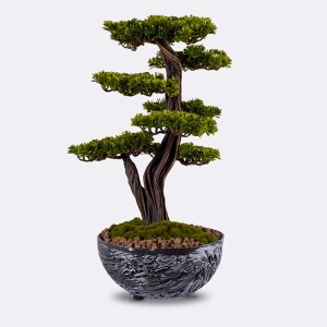 Saksılı Galatea Thuja 9 45x70 cm - TepeHome