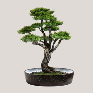 Işıklandırılmış Bonsai Ağacı-1 - TepeHome