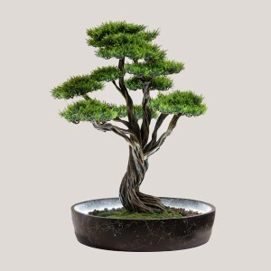 Işıklandırılmış Bonsai Ağacı-1 Saksılı Ç - 1