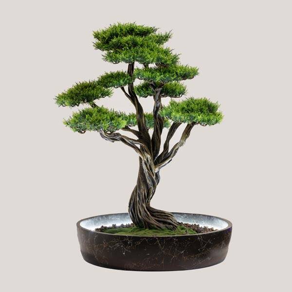 Işıklandırılmış Bonsai Ağacı-1 - 1